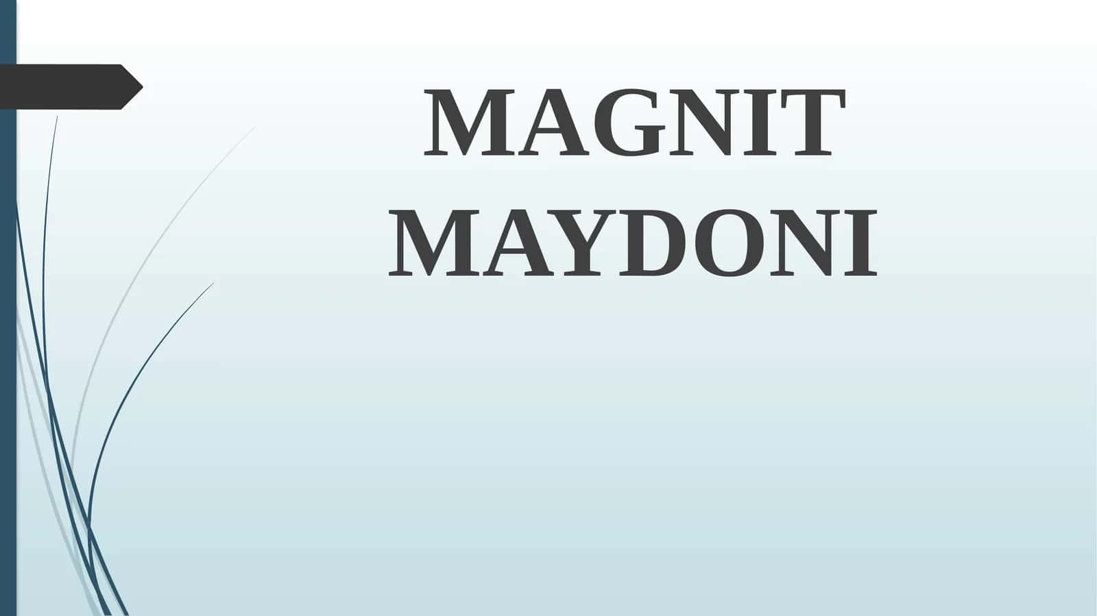 Magnit maydoni