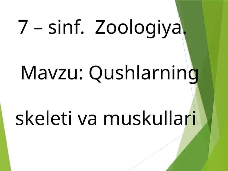 Qushlarning skeleti va muskullari
