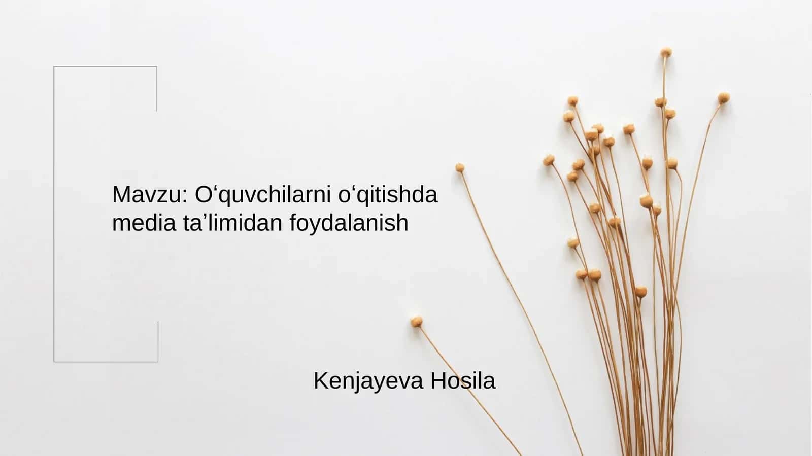 Multimediy vositalari (multimedia – ko’pvositalilik)