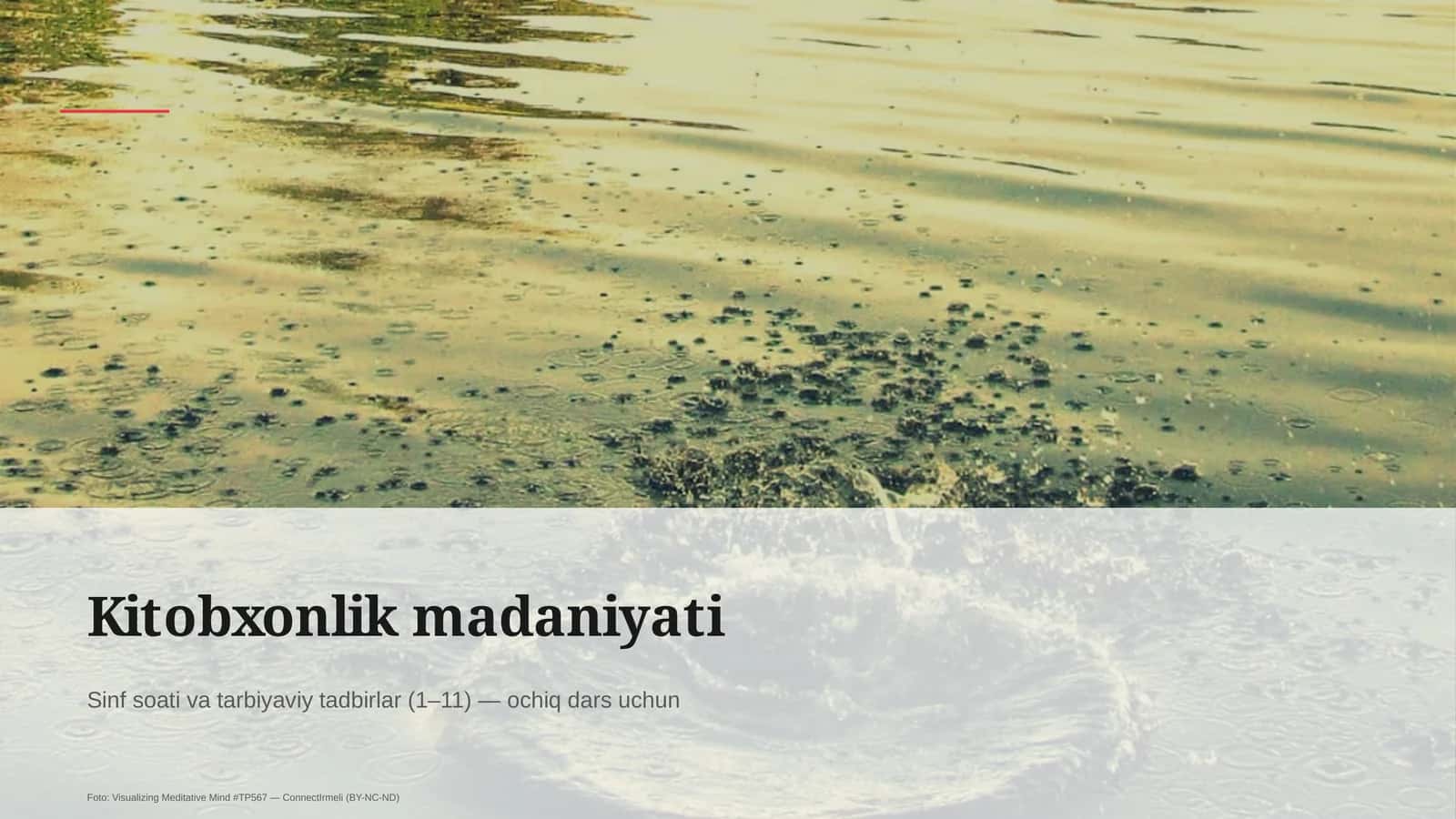 Kitobxonlik madaniyati
