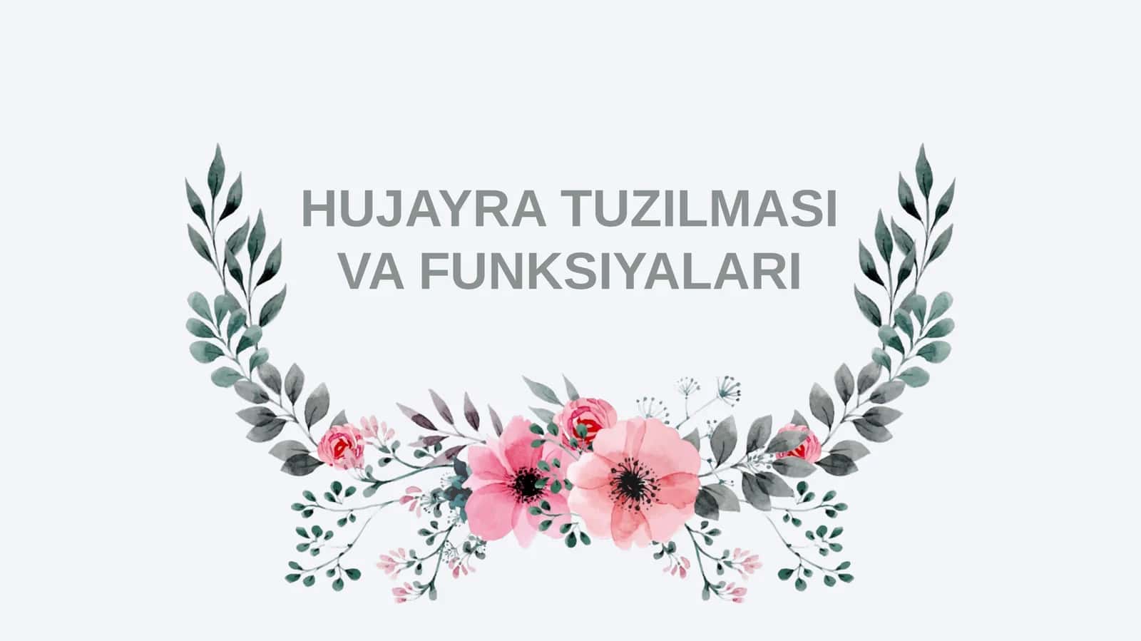 HUJAYRA TUZILMASI VA FUNKSIYALARI