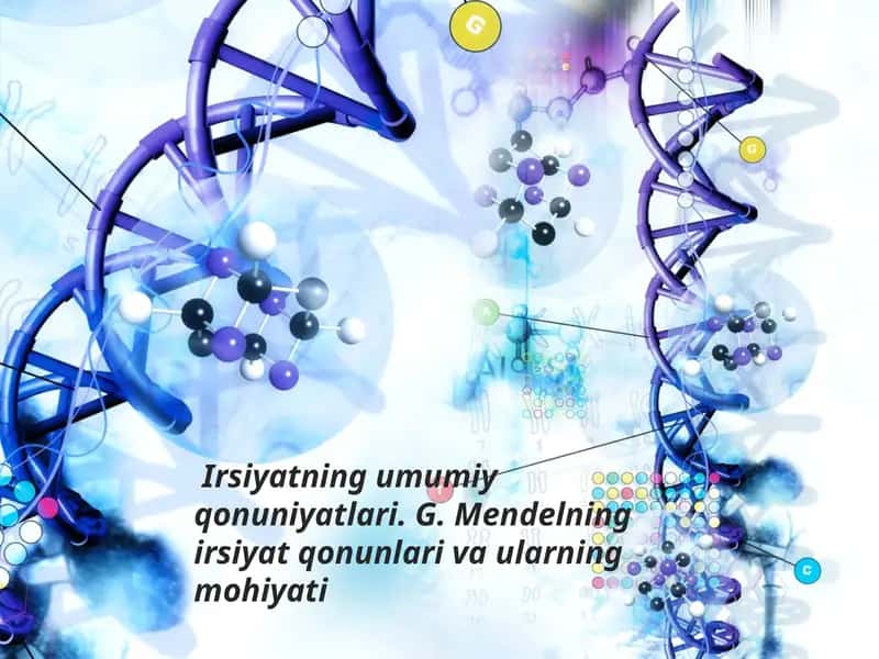 Irsiyatning umumiy qonuniyatları. G.Mendelning irsiyat qonunlari va ularning mohiyati
