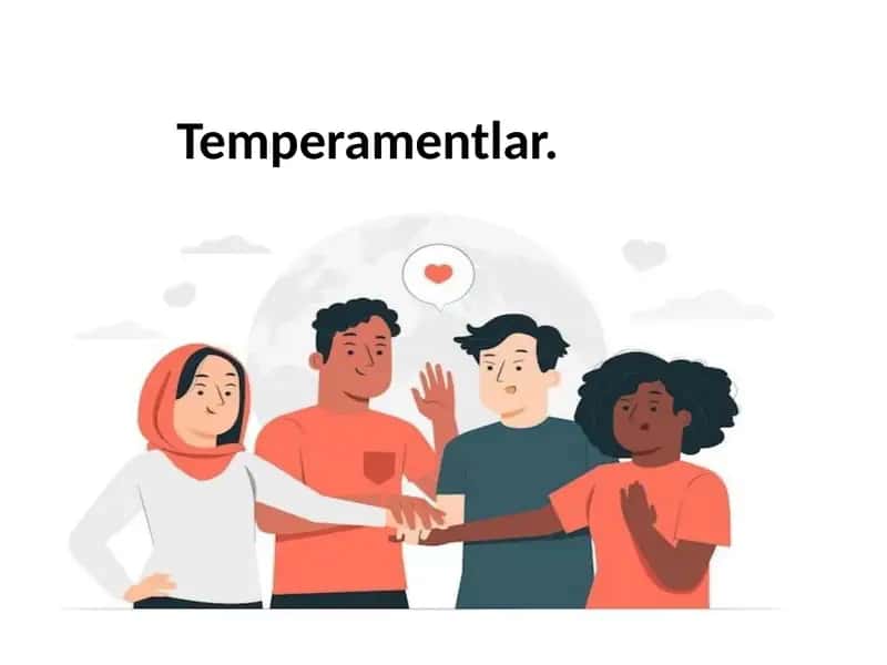 Temperamentlar