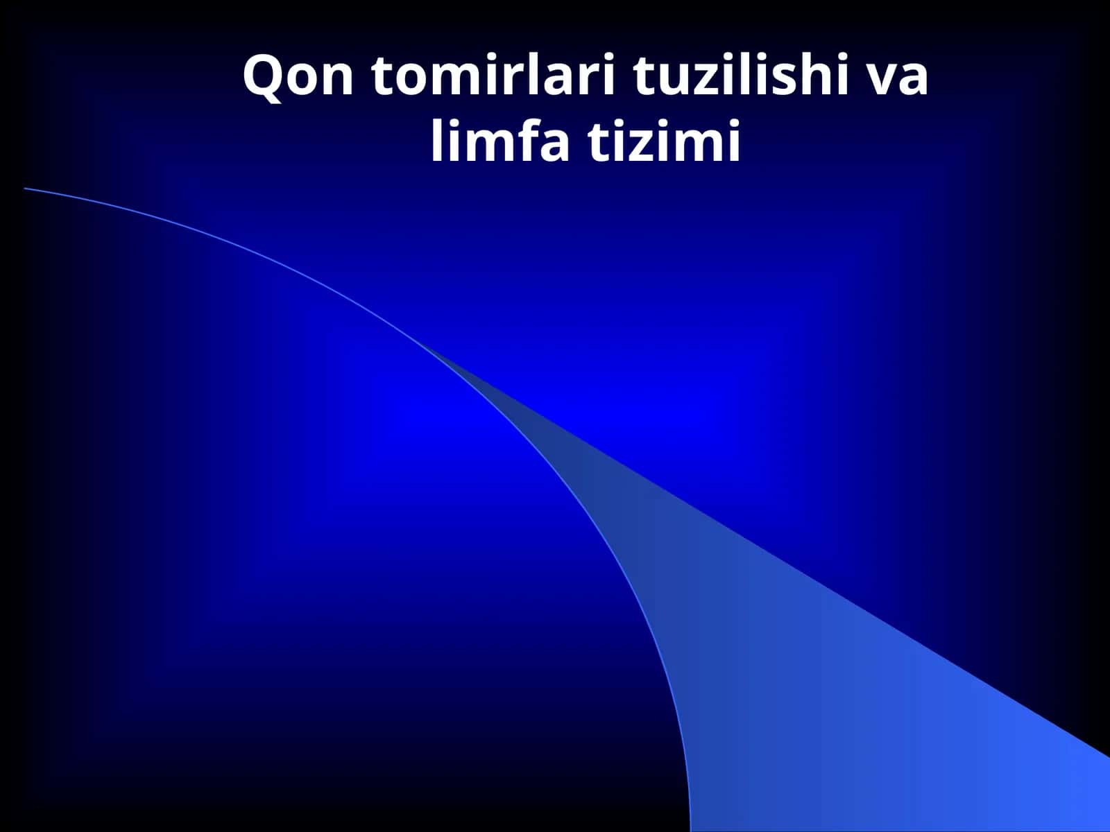 Qon tomirlari tuzilishi va limfa tizimi