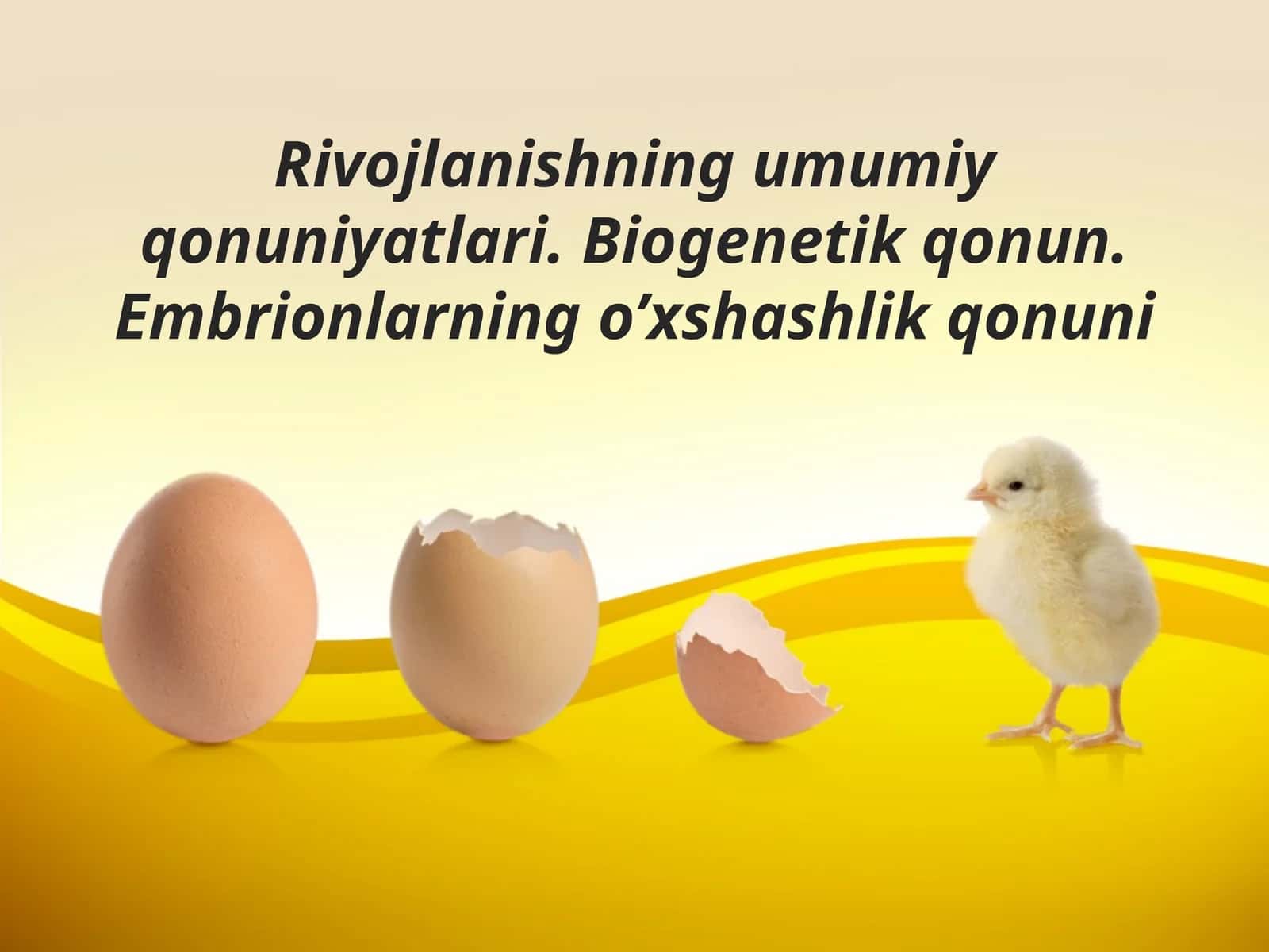 Biogenetik qonun