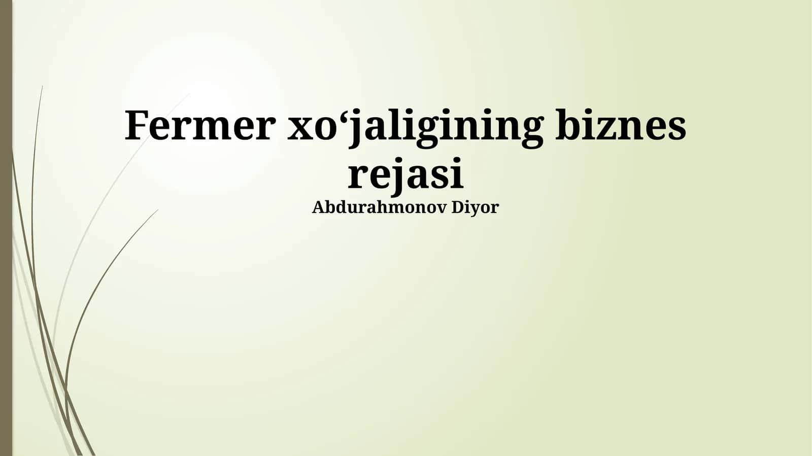 Fermer xo'jaligining biznes rejasi