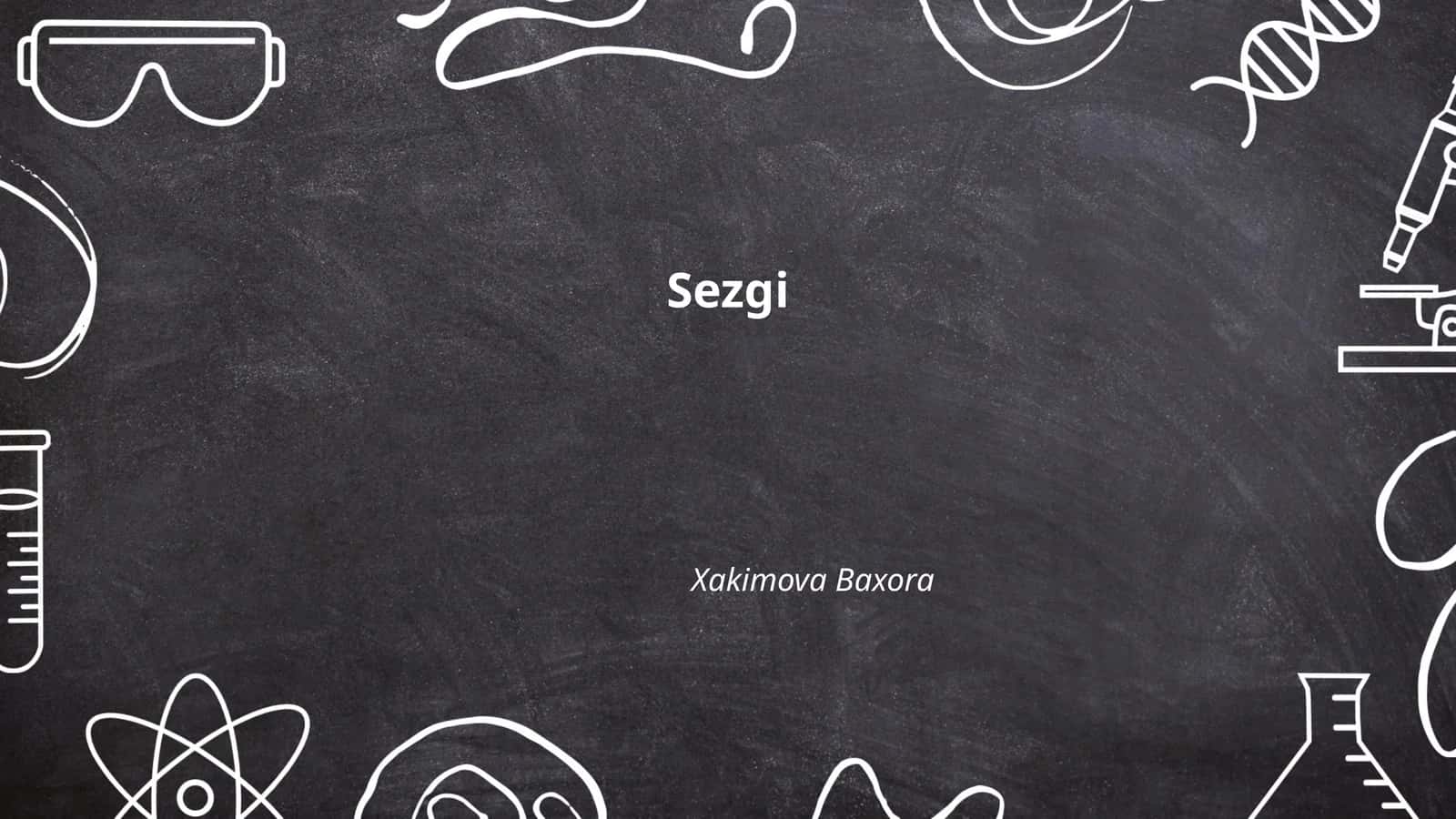 Sezgi