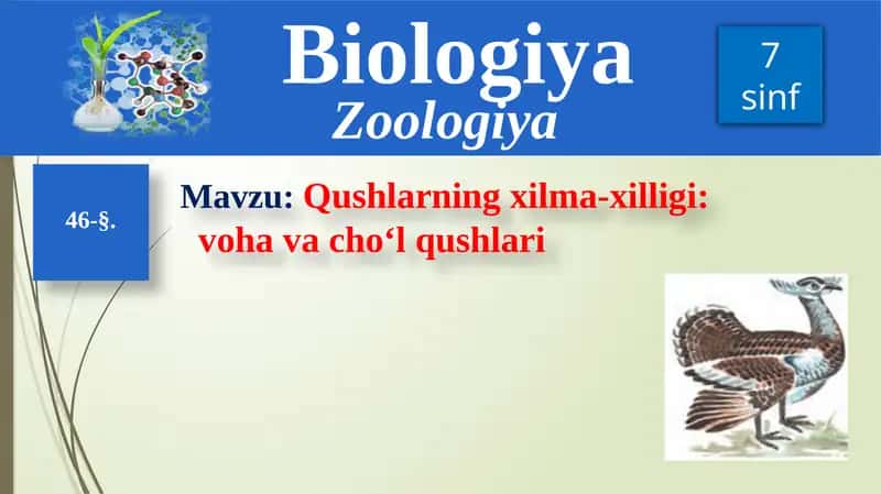 Qushlarning xilma-xilligi