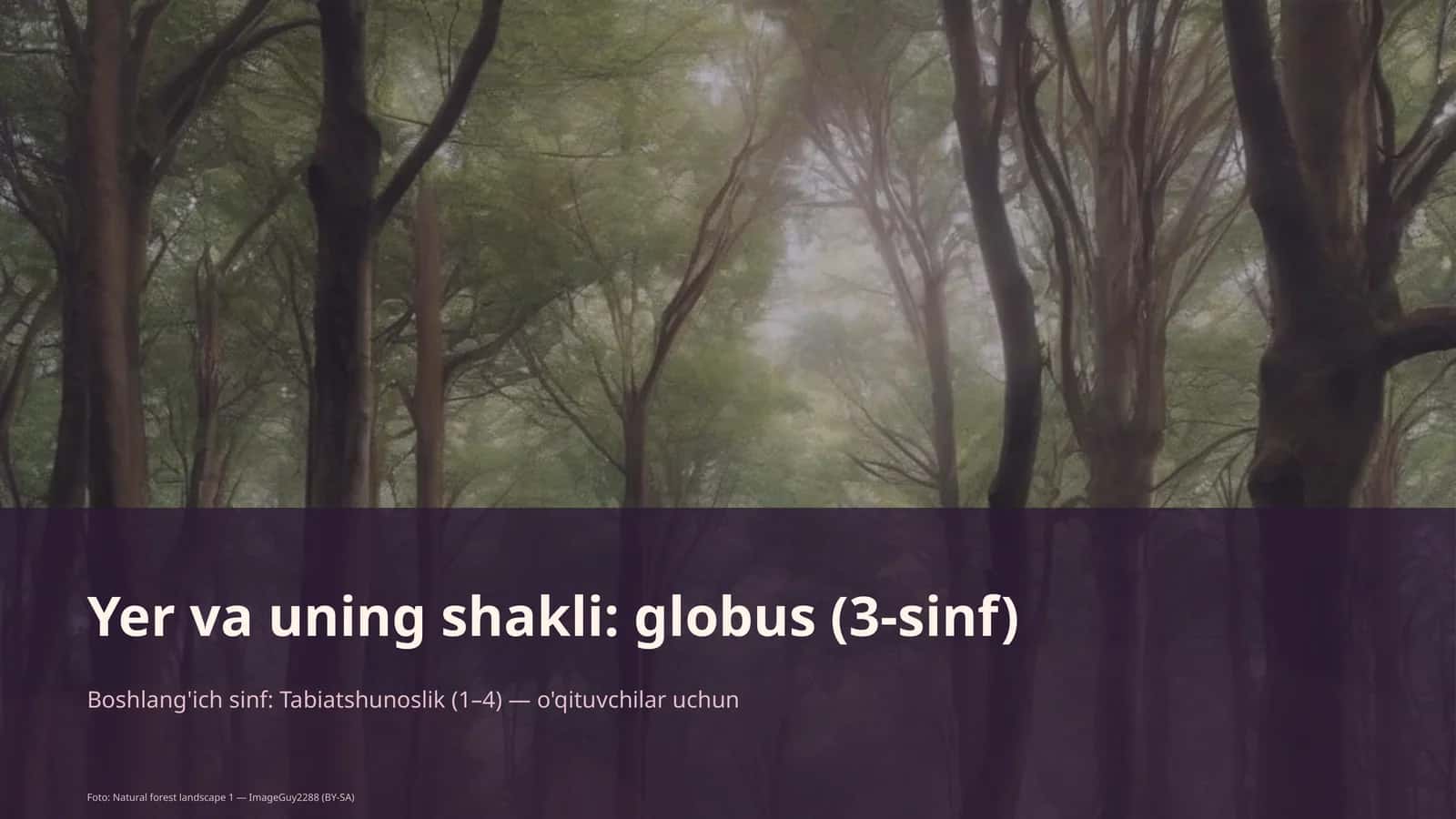 Yer va uning shakli: globus (3-sinf)