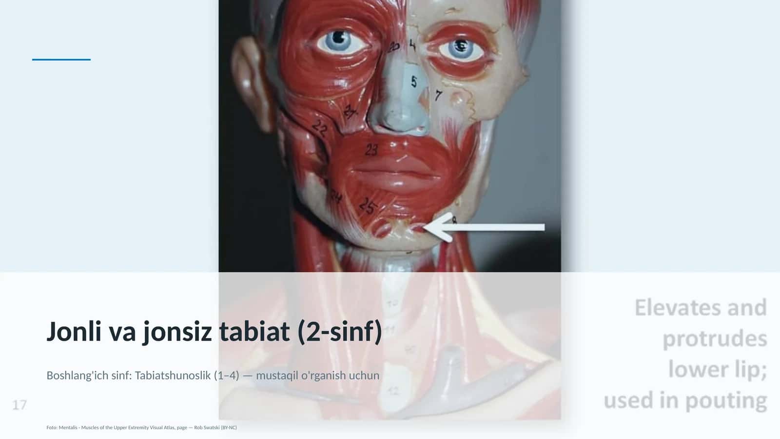 Jonli va jonsiz tabiat (2-sinf)