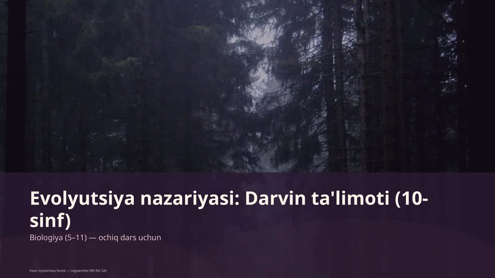 Evolyutsiya nazariyasi: Darvin ta'limoti (10-sinf)