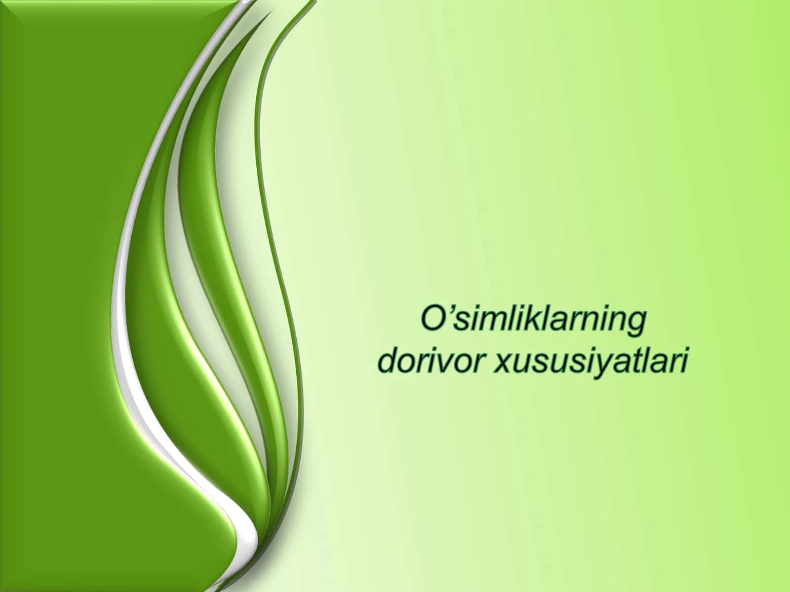 Dorivor o`simliklar