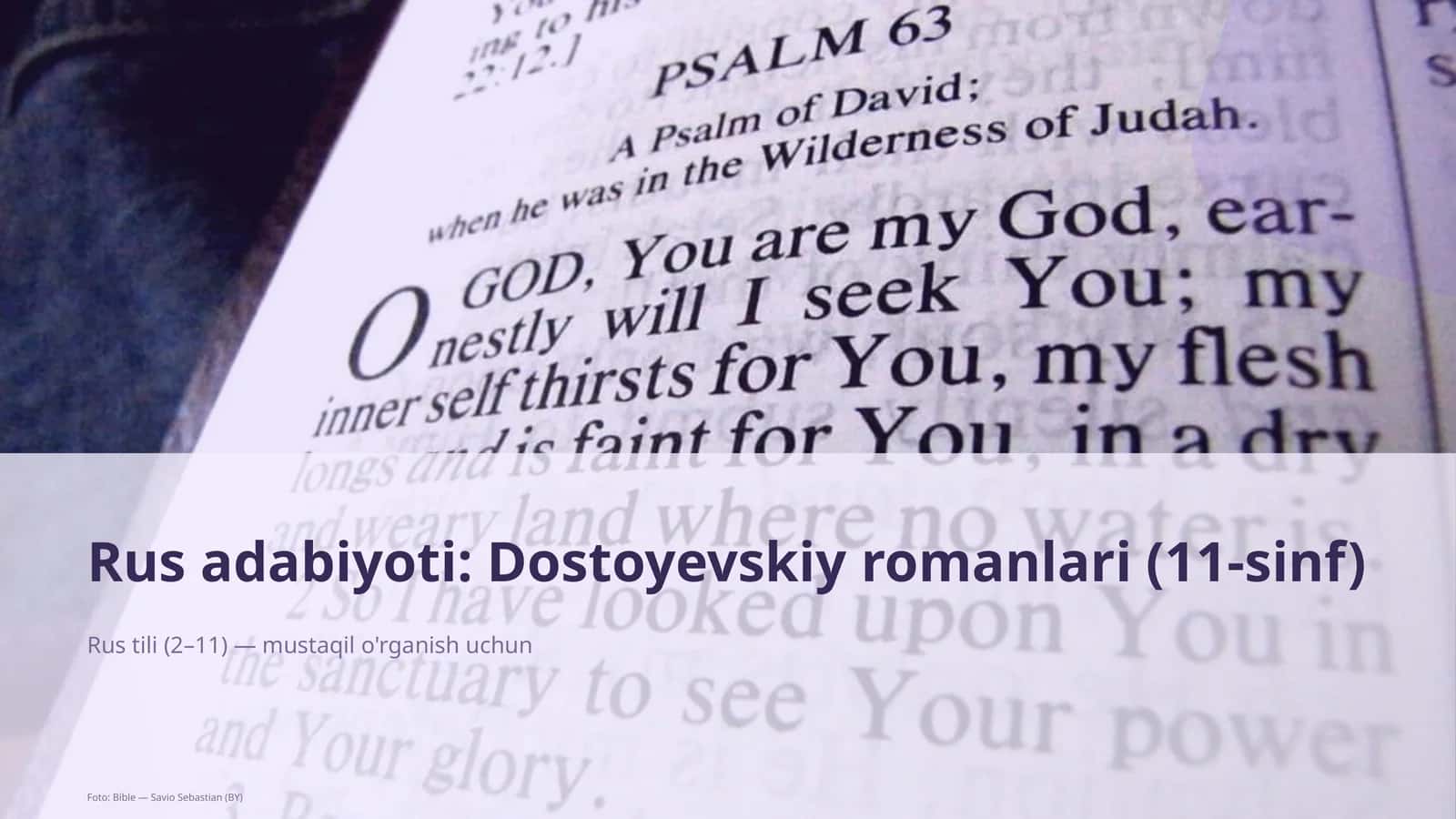 Rus adabiyoti: Dostoyevskiy romanlari (11-sinf)