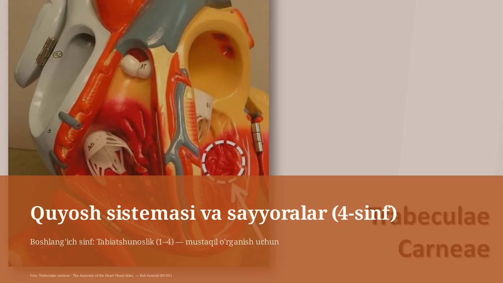 Quyosh sistemasi va sayyoralar (4-sinf)