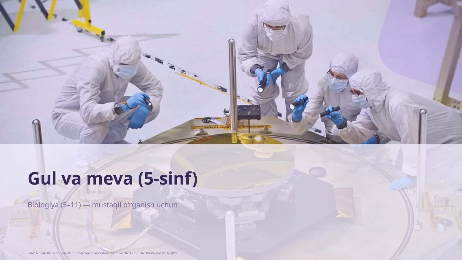 Gul va meva (5-sinf)