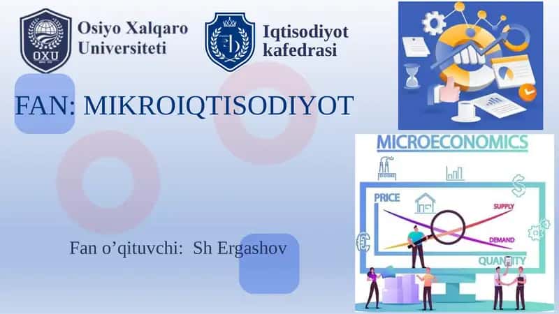 MIKROIQTISODIYOT