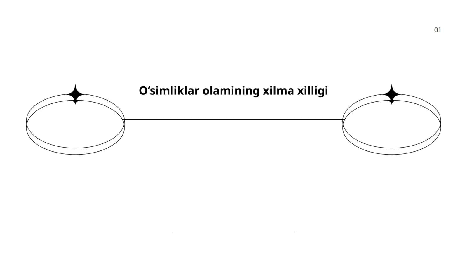 O‘simliklar olamining xilma xilligi