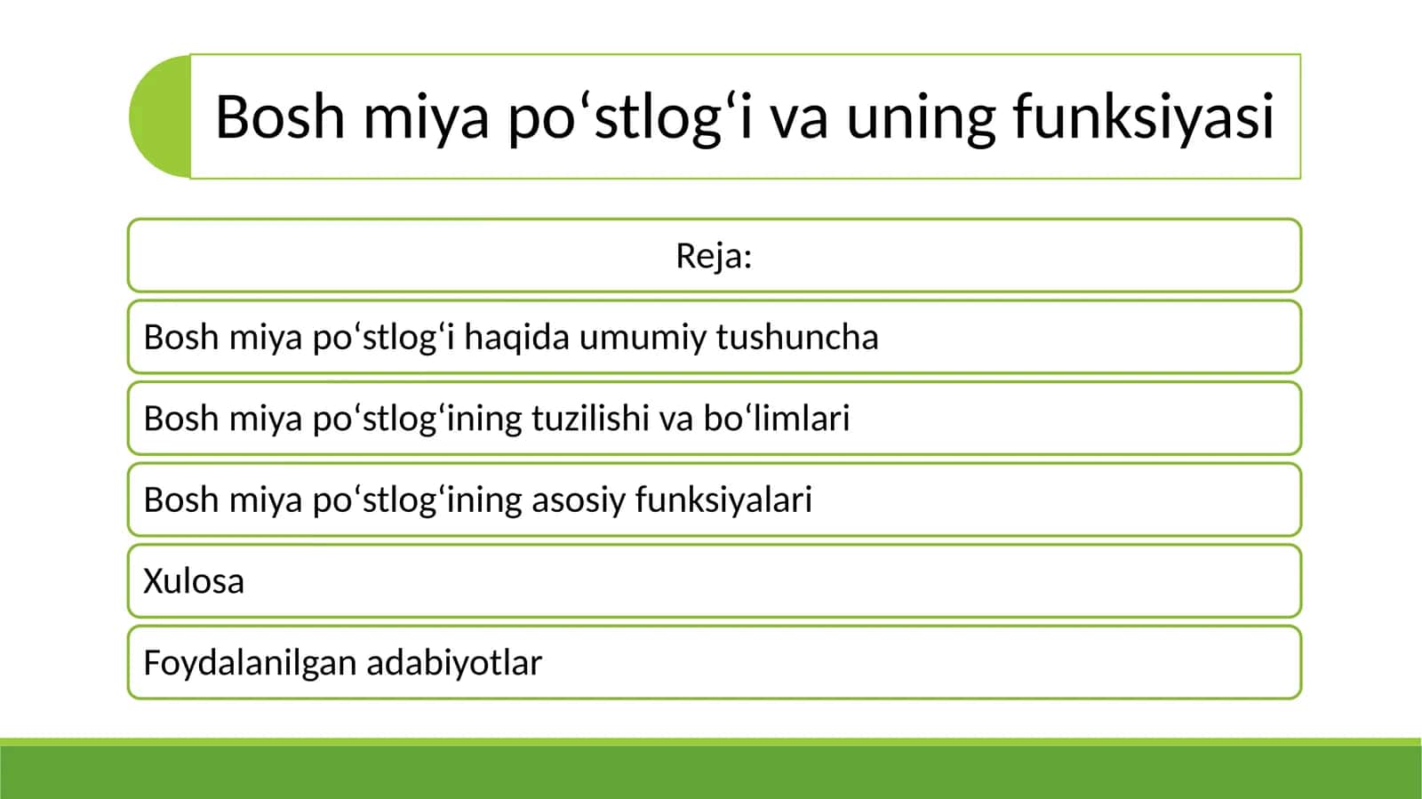 Bosh miya poʻstlogʻi va uning funksiyasi