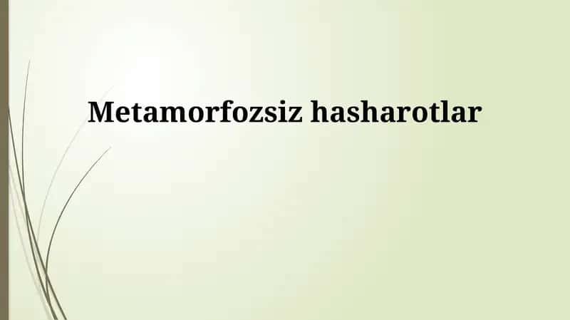 Metamorfoz