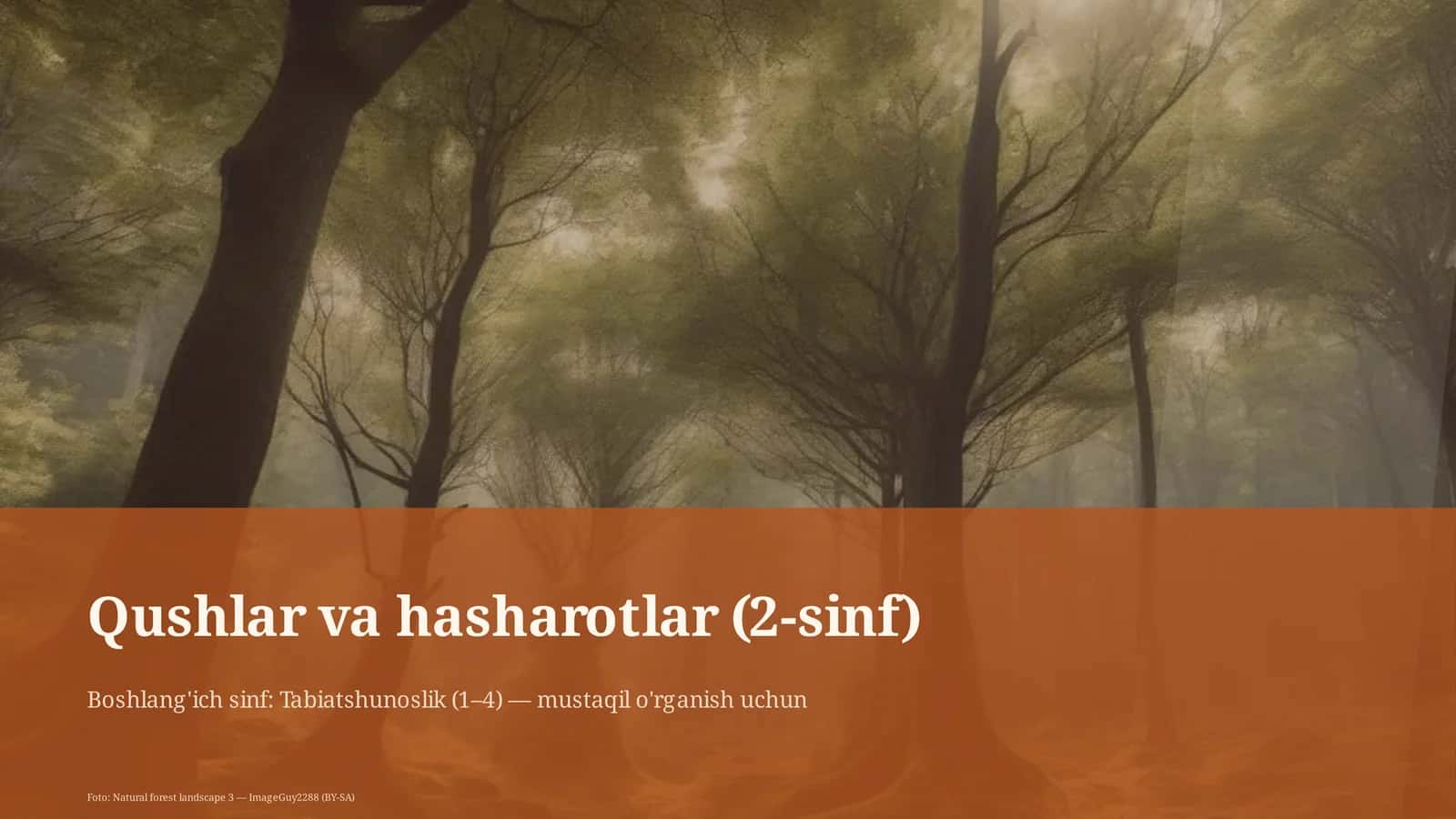 Qushlar va hasharotlar (2-sinf)