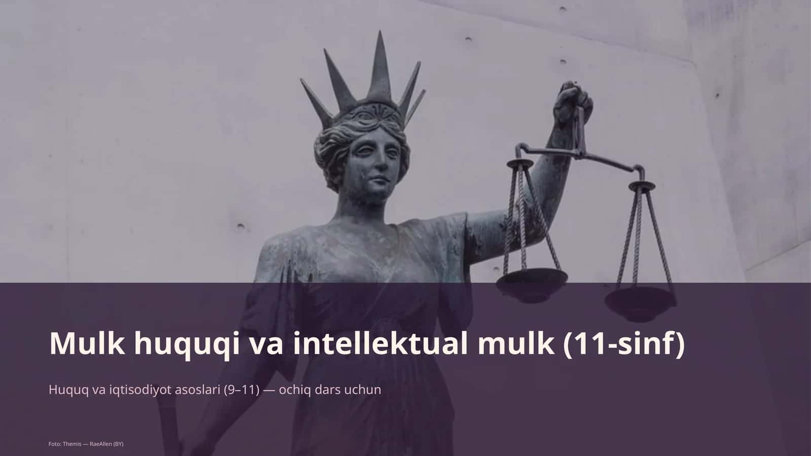 Mulk huquqi va intellektual mulk (11-sinf)