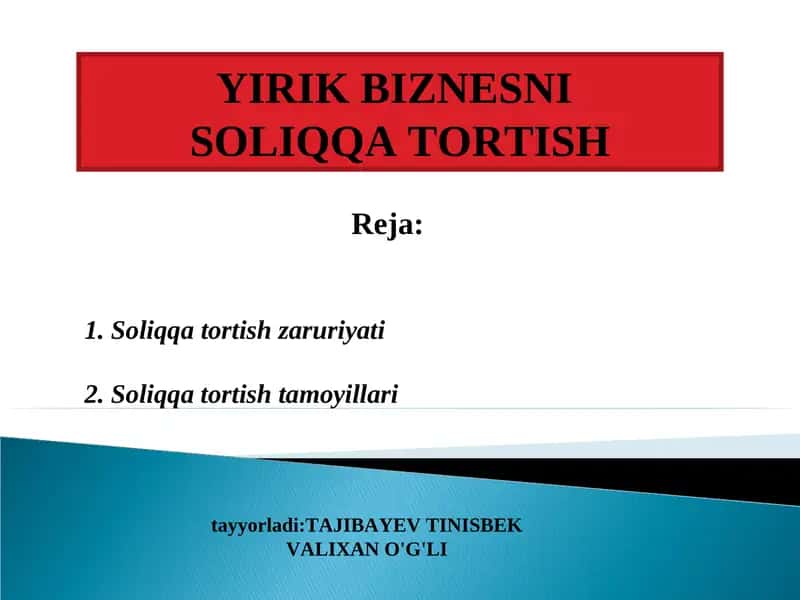 SOLIQQA TORTISH