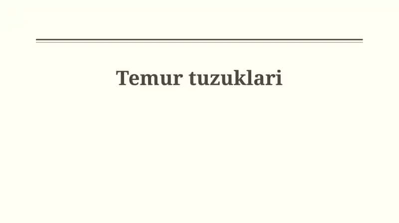 Temur tuzuklari