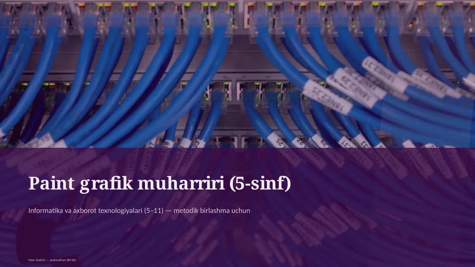 Paint grafik muharriri (5-sinf)