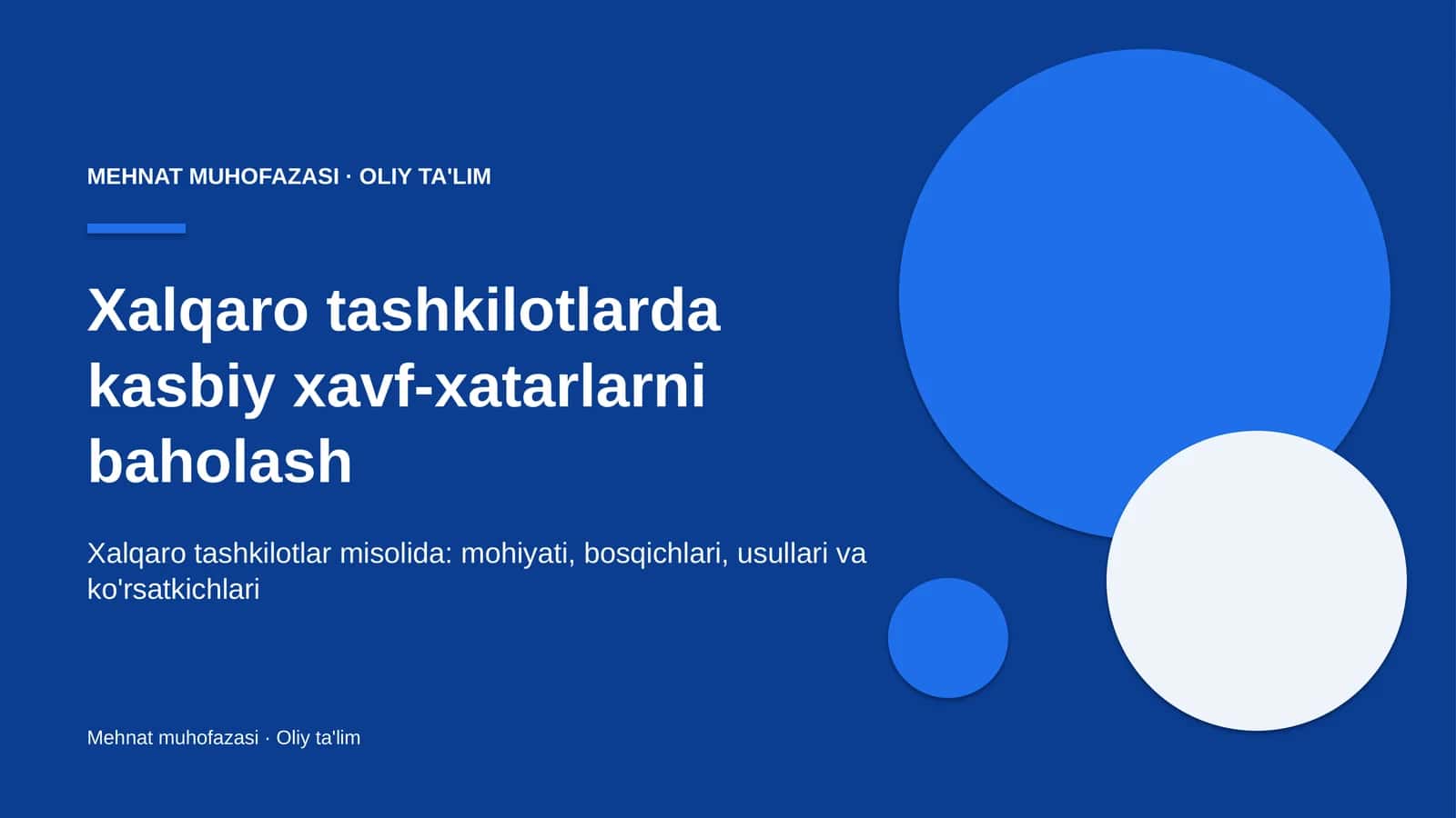 xalqaro tashkilotlarda kasbiy xavf xatarlarni baholash 4276