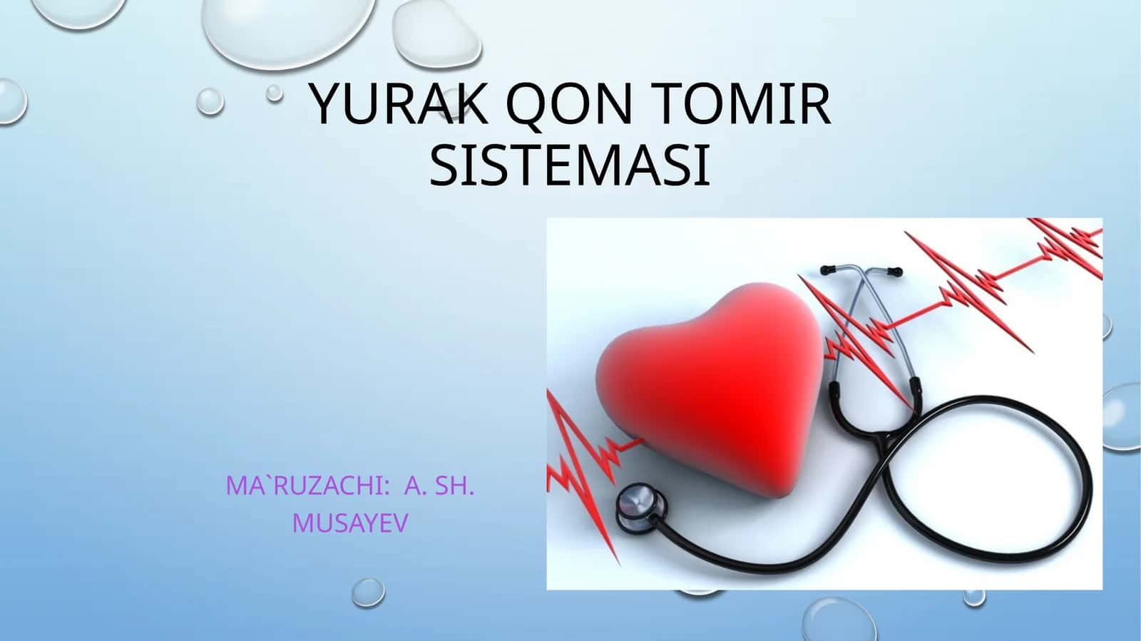 Yurakqontomirsistemasi