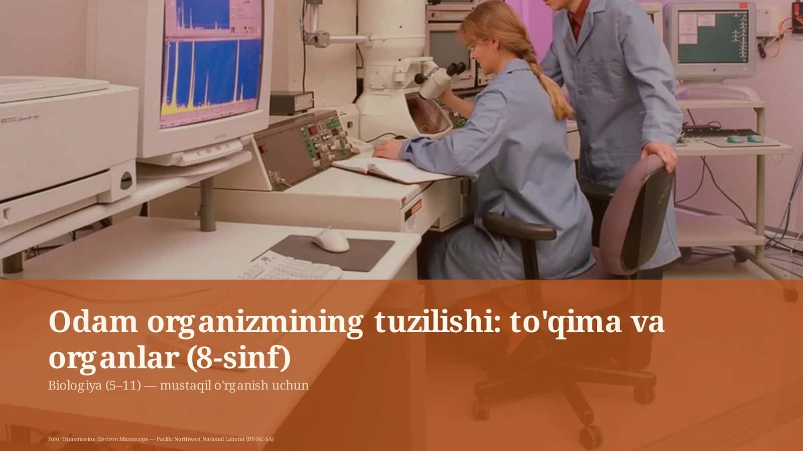 Odam organizmining tuzilishi: to'qima va organlar (8-sinf)