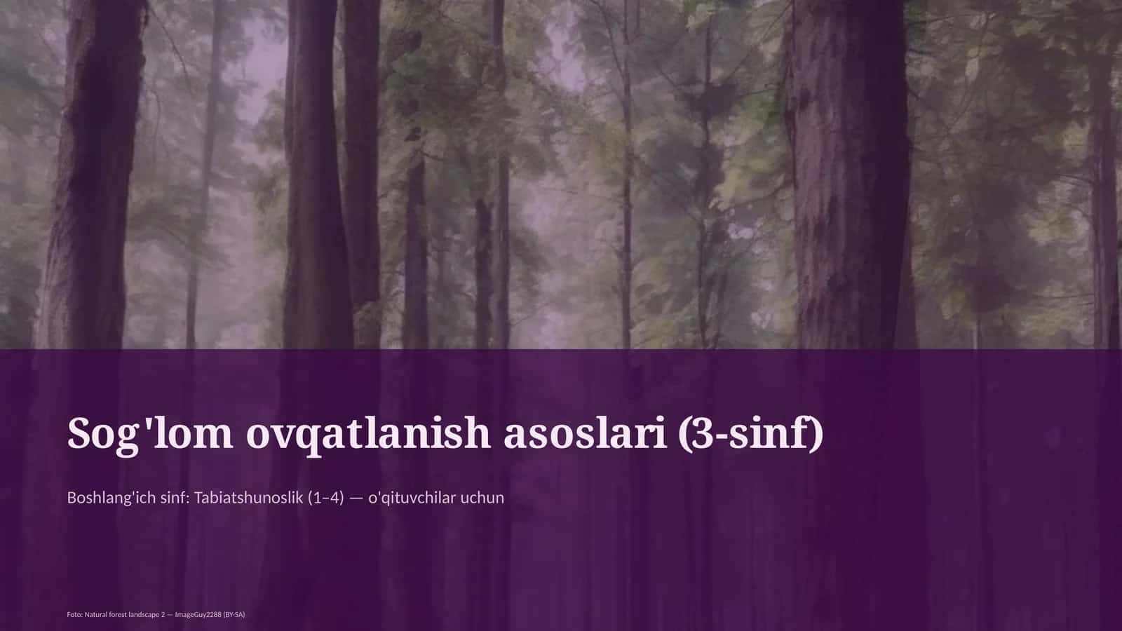 Sog'lom ovqatlanish asoslari (3-sinf)