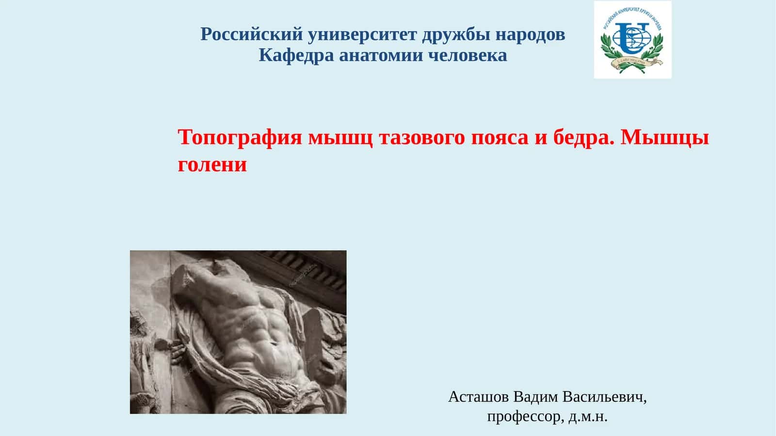 Мышцы тазового пояса