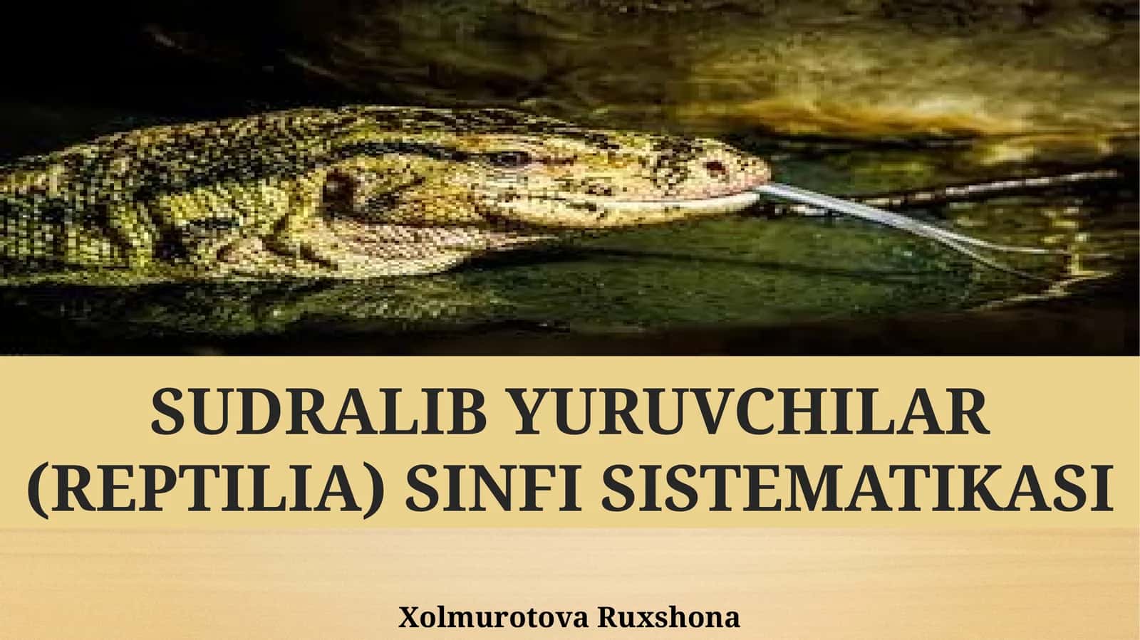 SUDRALIB YURUVCHILAR (REPTILIA) SINFI SISTEMATIKASI