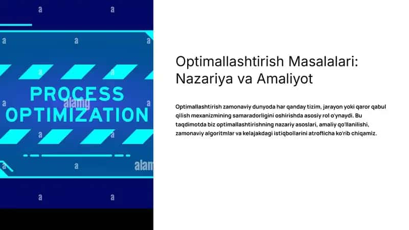 Optimallashtirish Masalalari: Nazariya va Amaliyot