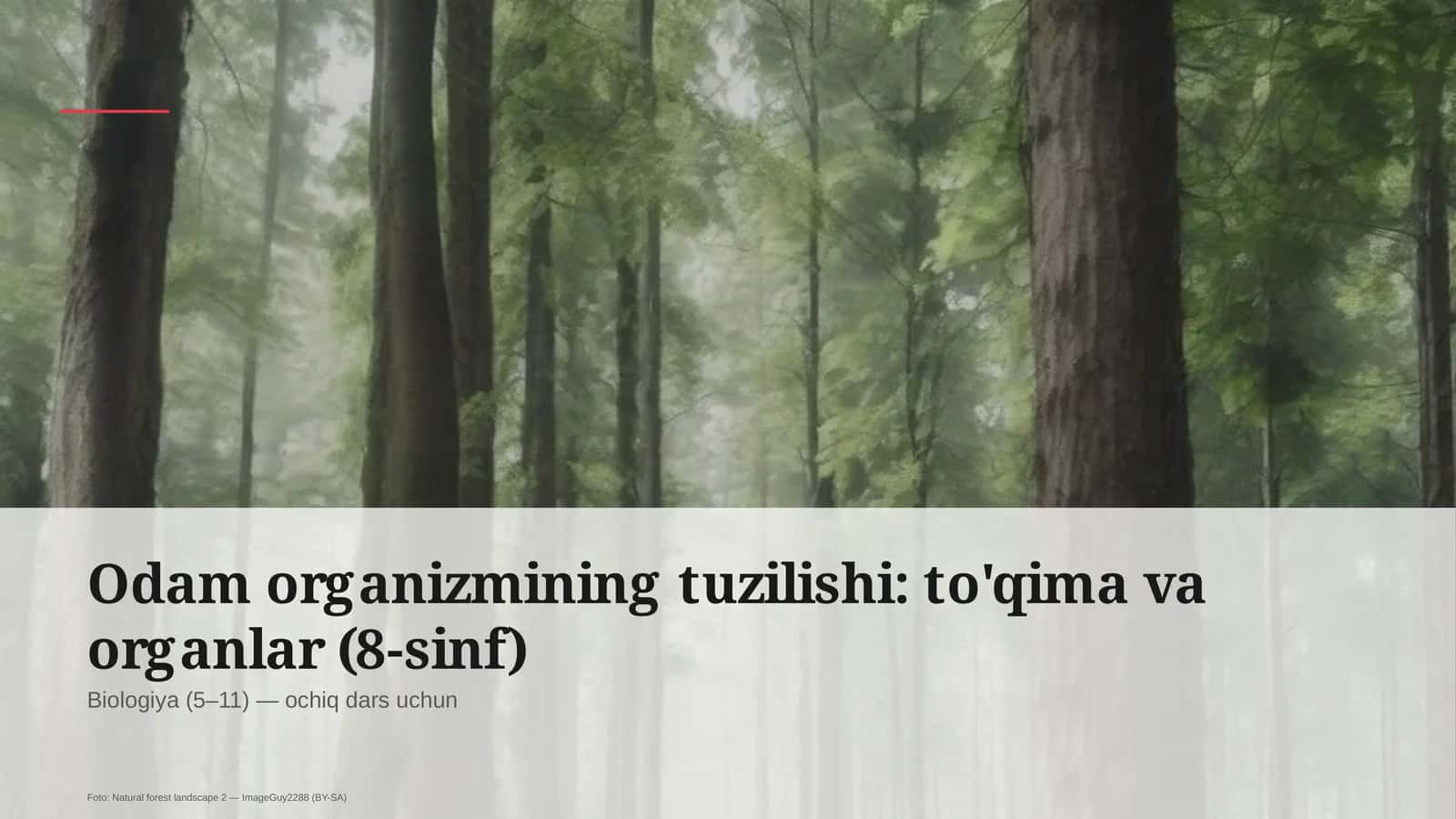 Odam organizmining tuzilishi: to'qima va organlar (8-sinf)