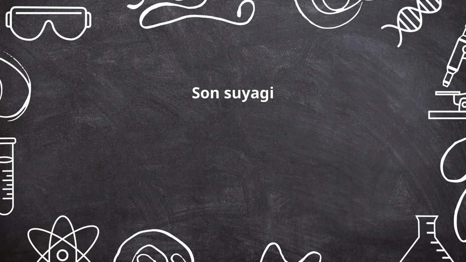 Son suyagi