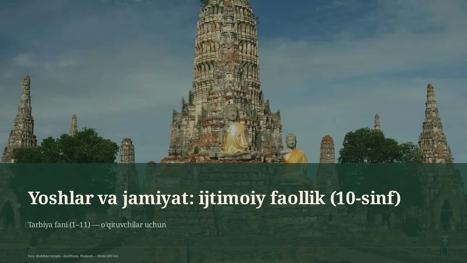 Yoshlar va jamiyat: ijtimoiy faollik (10-sinf)