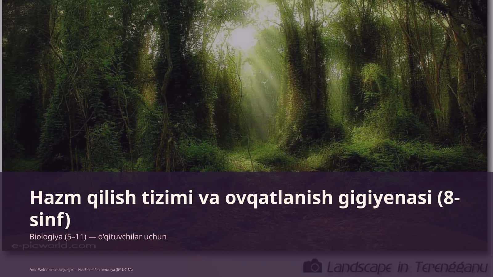 Hazm qilish tizimi va ovqatlanish gigiyenasi (8-sinf)