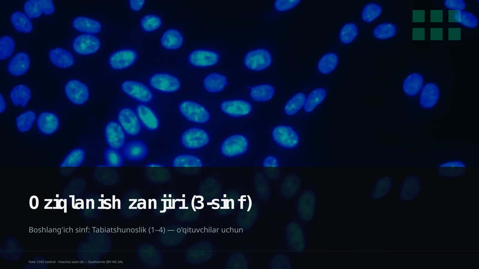 Oziqlanish zanjiri (3-sinf)