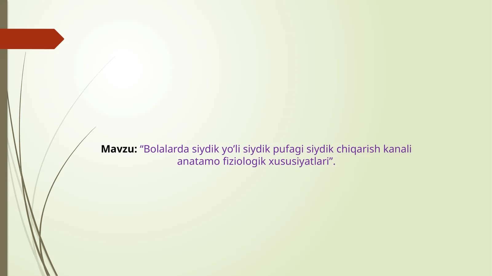 Bolalarda siydik yo’li siydik pufagi siydik chiqarish kanali anatamofiziologik xususiyatlari