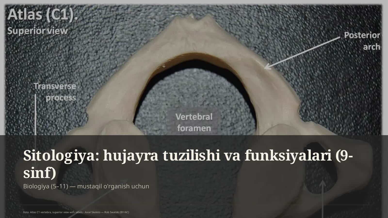 Sitologiya: hujayra tuzilishi va funksiyalari (9-sinf)