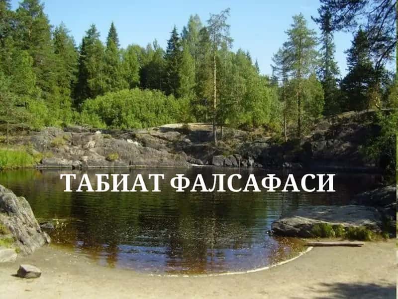 ТАБИАТ ФАЛСАФАСИ