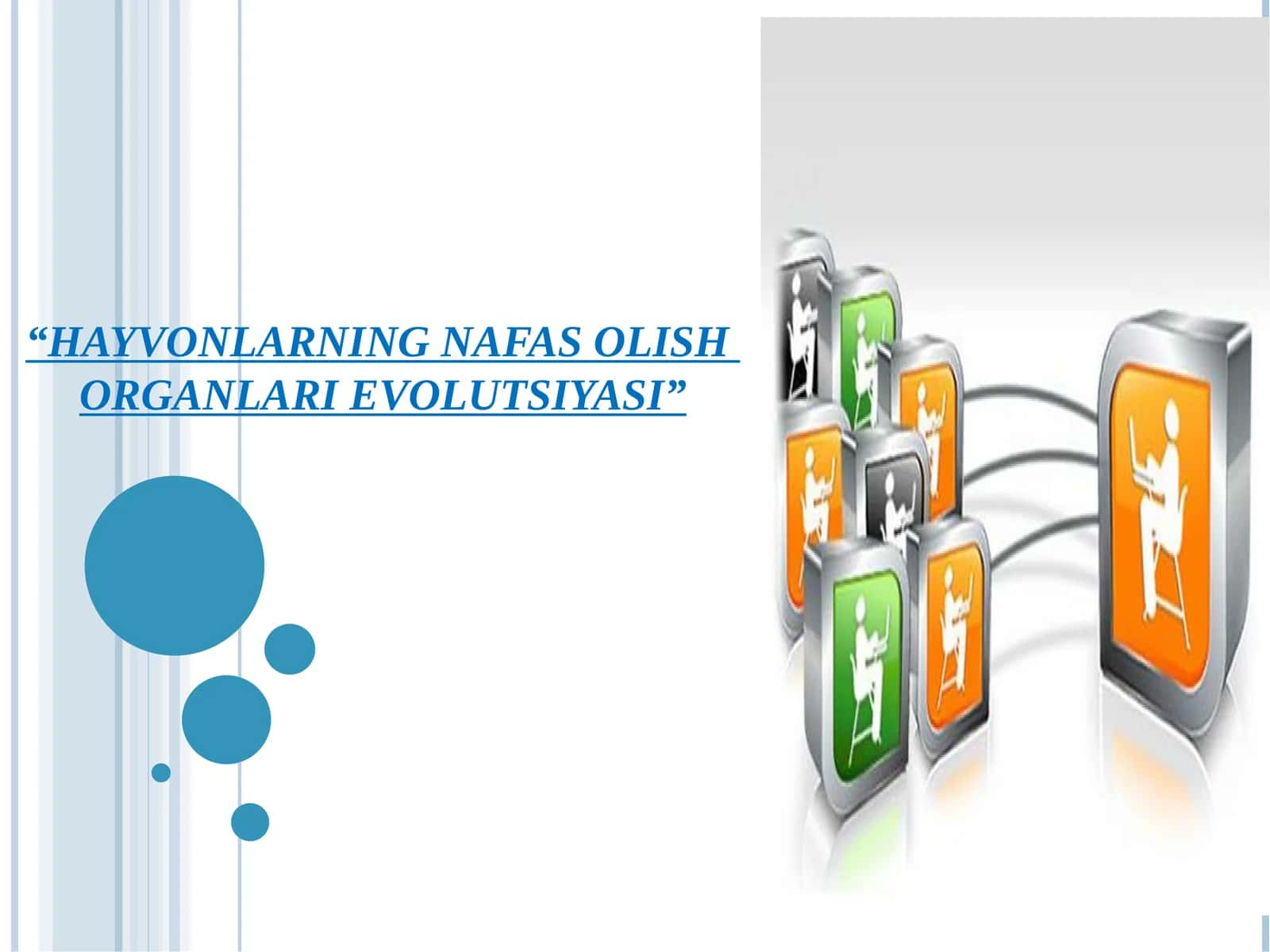 HAYVONLARNING NAFAS OLISH ORGANLARI EVOLUTSIYASI