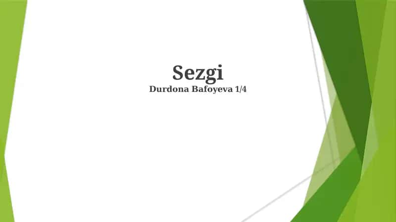 Sezgi
