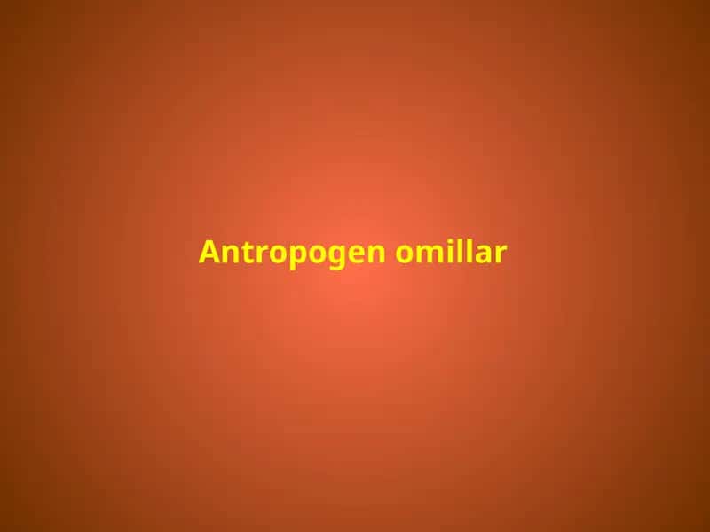 Antropogenomillar