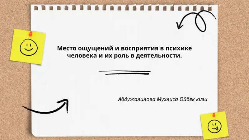 Место ощущений и восприятия в психике человека и их роль в деятельности