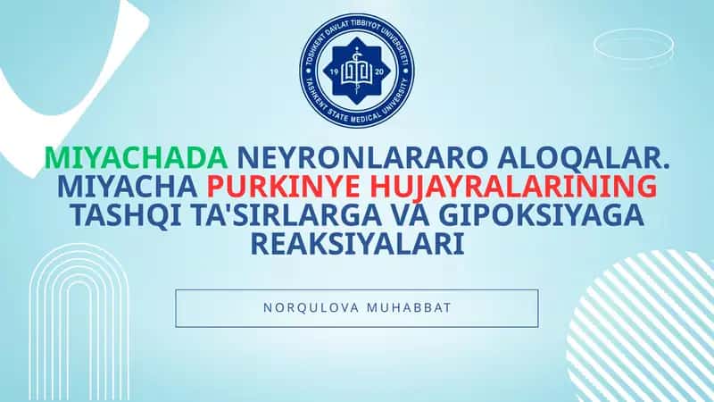 Miyachada neyronlararo aloqalar. Miyacha Purkinye hujayralarining tashqi ta'sirlarga va gipoksiyaga