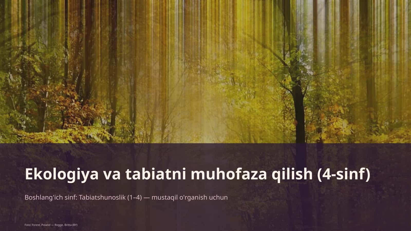 Ekologiya va tabiatni muhofaza qilish (4-sinf)