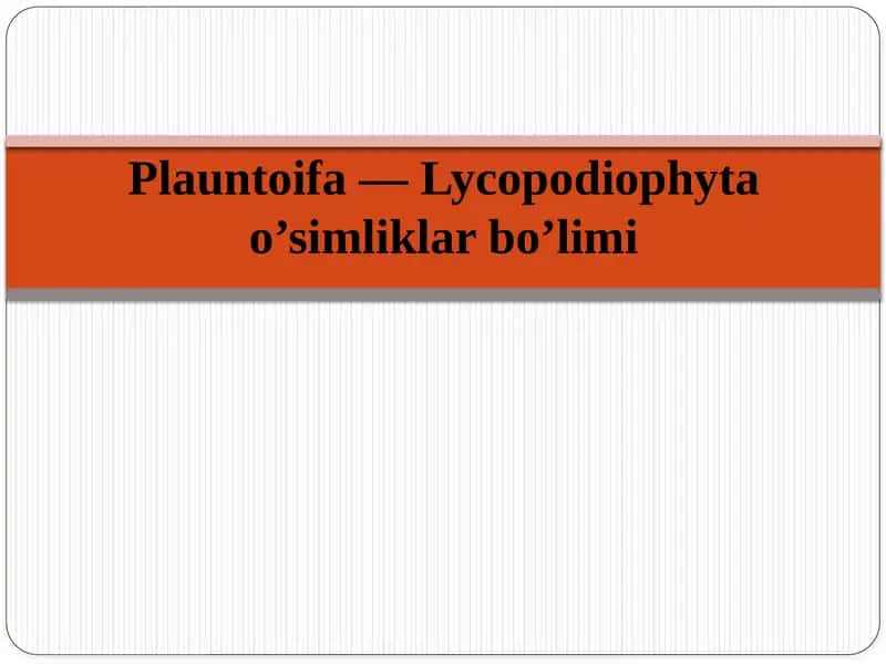 Plauntoifa — Lycopodiophyta o’simliklar bo’limi